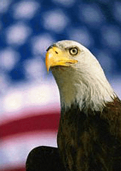 Eagle2.GIF
